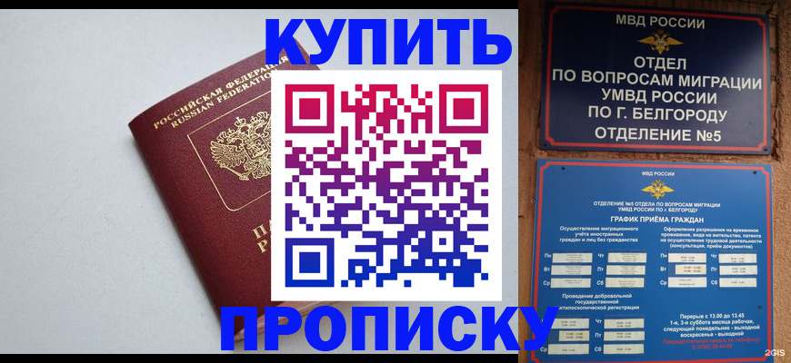 прописка регистрация в Дальнегорске